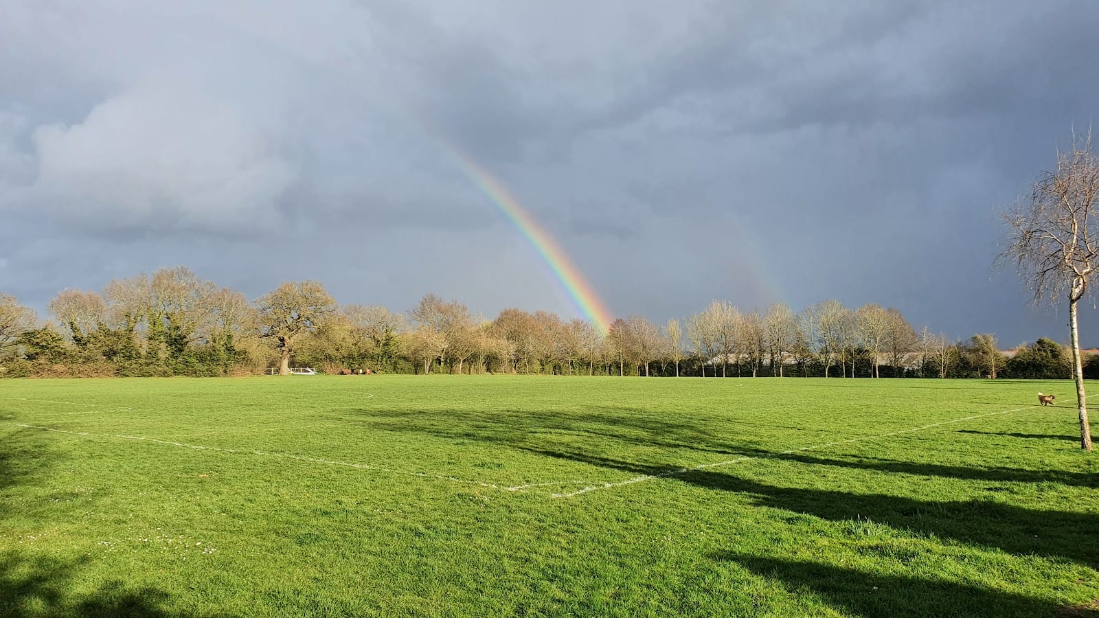 Morris Playing Field Tennis Courts