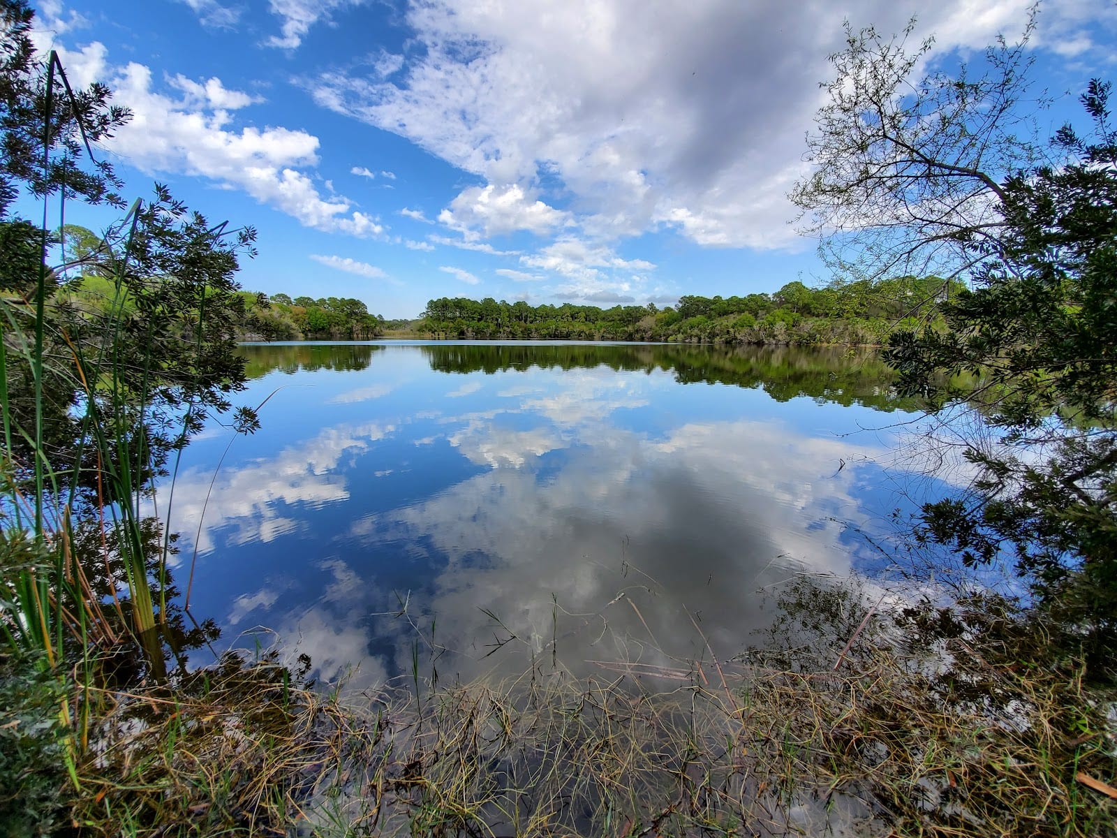 Sleeping Turtles Preserve South