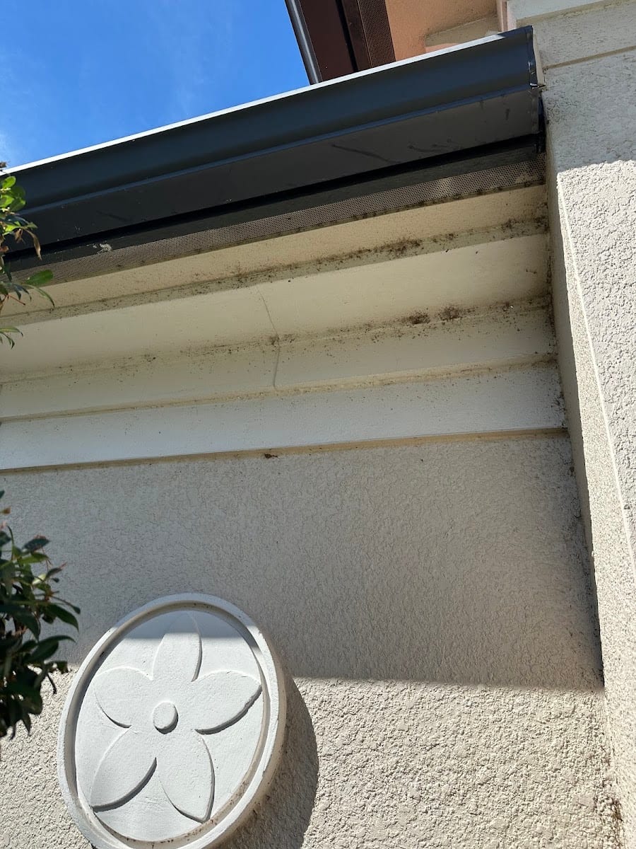 Dynasty Pest Control LLC, photo 4