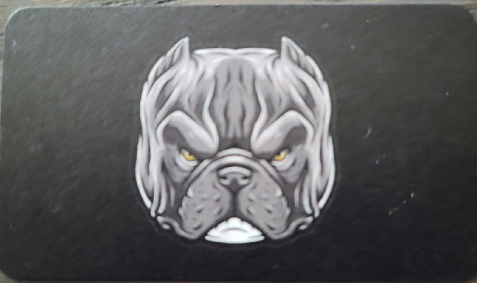 Bulldog Pool Plastering, photo 3