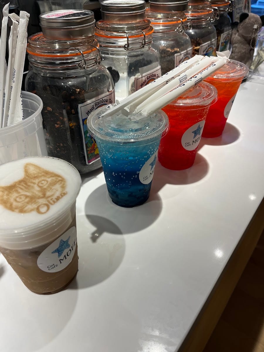 Cat Café MOFF Ala Moana Center