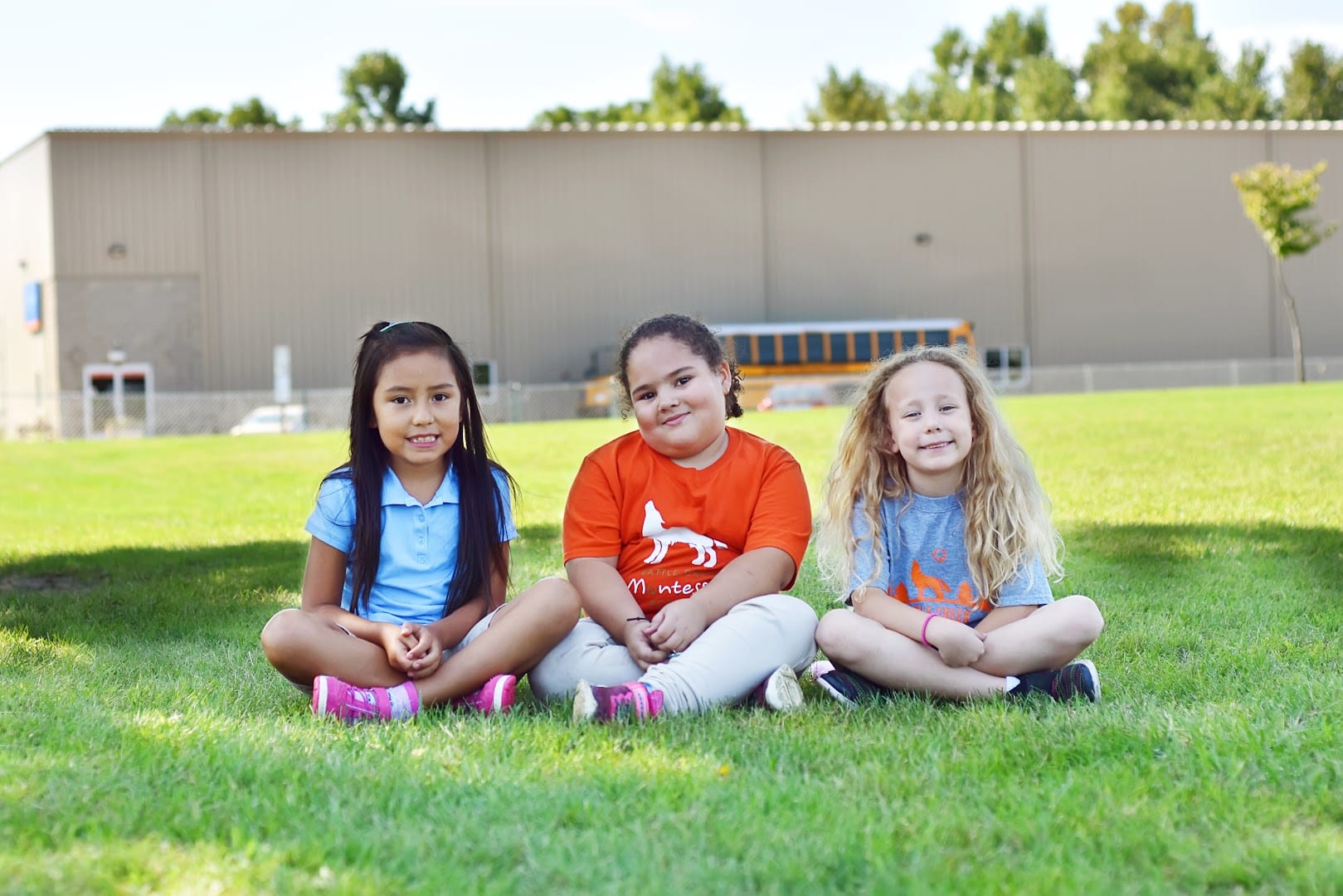 Battle Creek Montessori Academy, photo 3