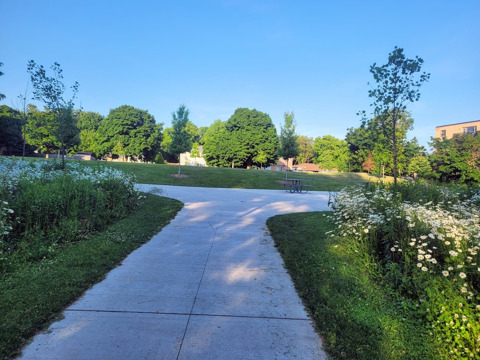 Lennox Park