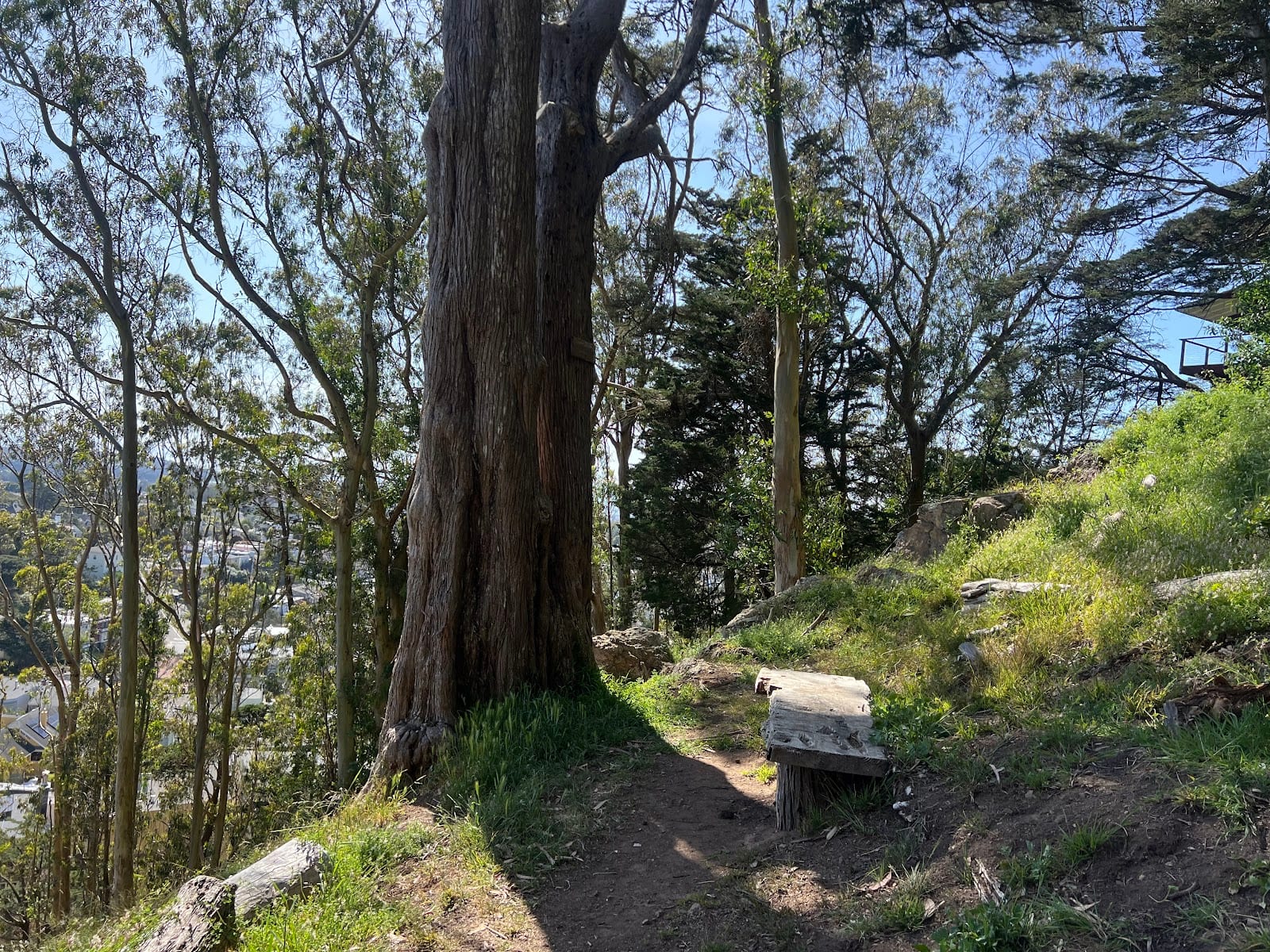 Edgehill Mountain Park, photo 3