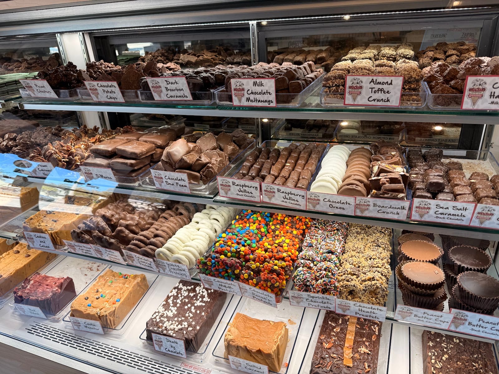 Strachan's Ice Cream & Desserts - South Tampa, photo 4