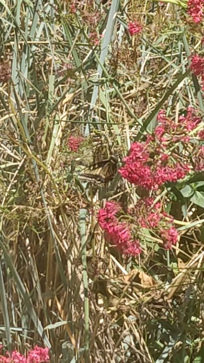 Progress Park, photo 2