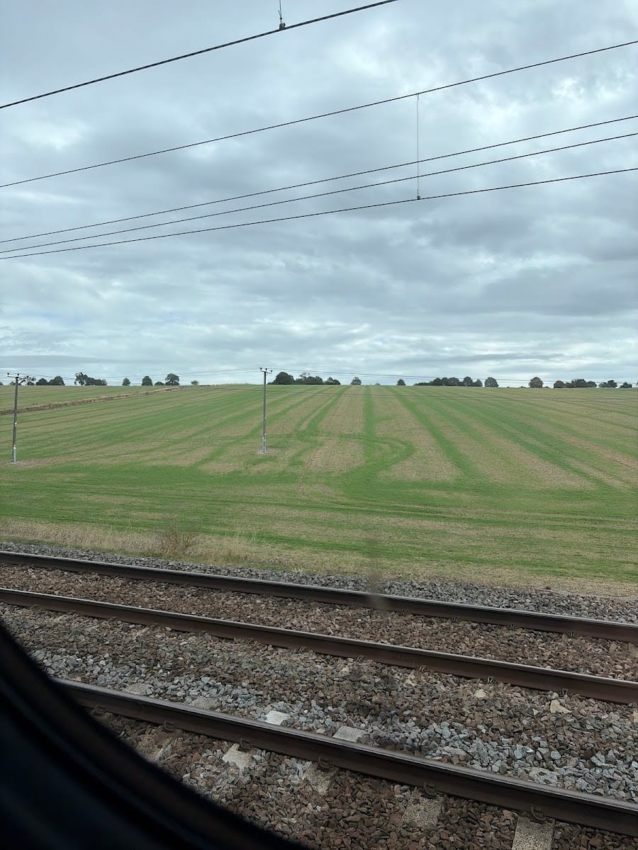 Unleashed Fields Harpenden, photo 4