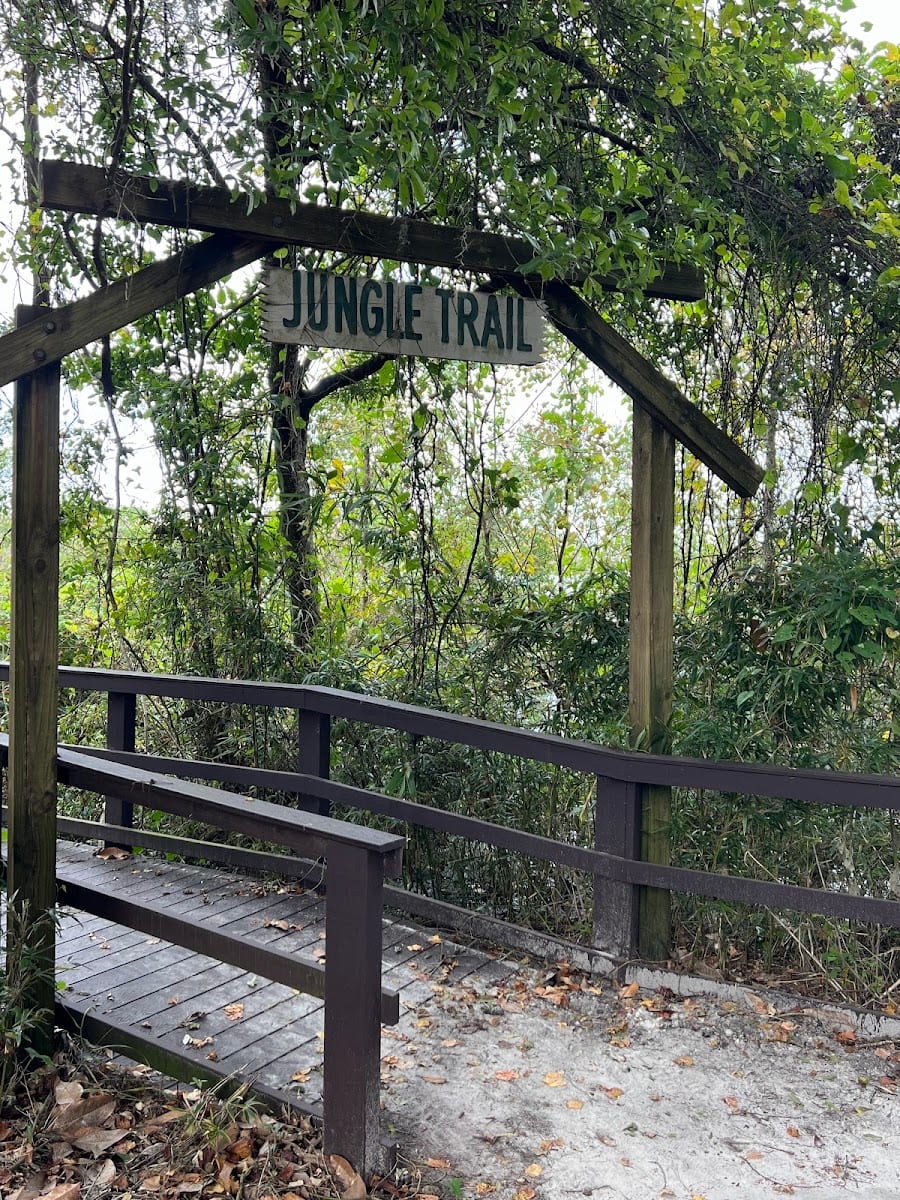 Camp Chowenwaw Pool