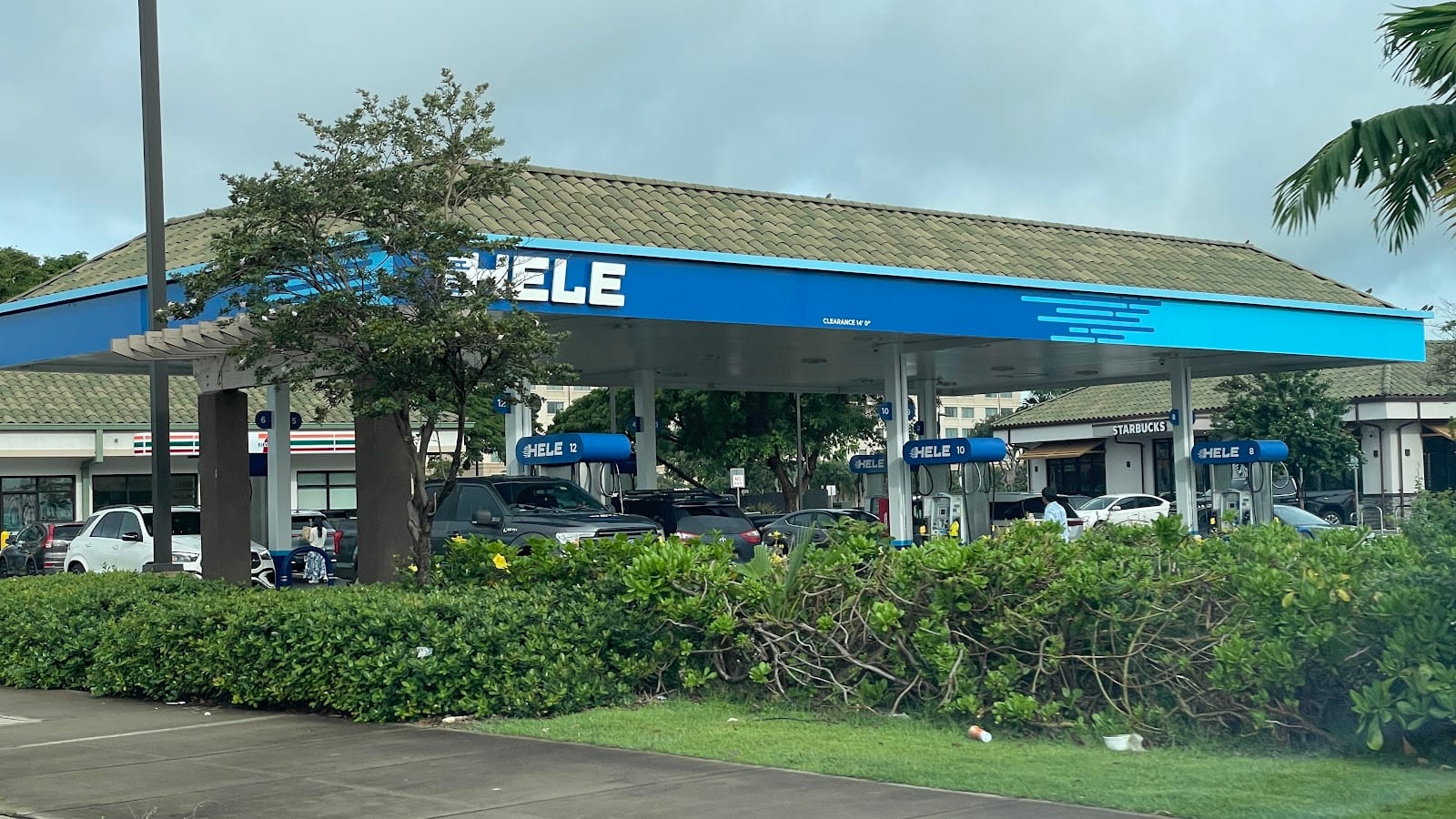 Hele