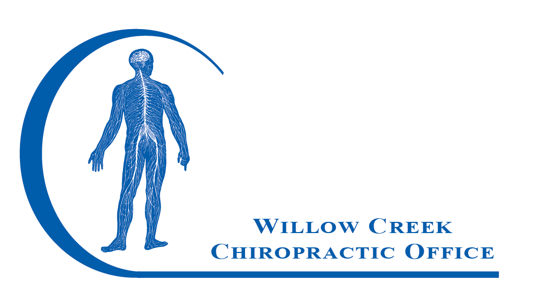 Willow Creek Chiropractic Office, photo 3