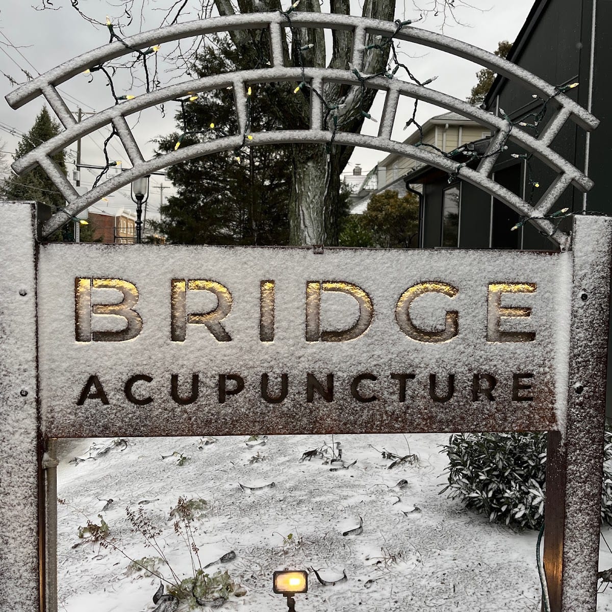 Bridge Acupuncture