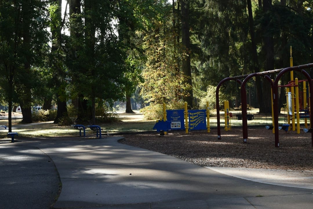 A playground and trees in a sunny park, illustrative stock photograph