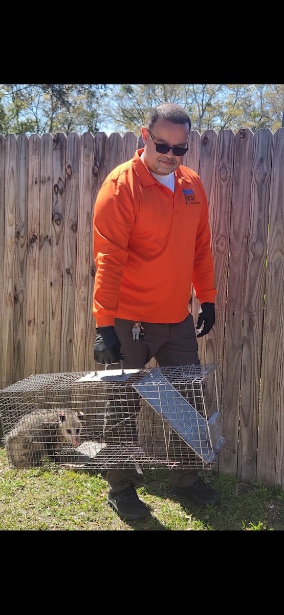 Best Source Pest Control, photo 4