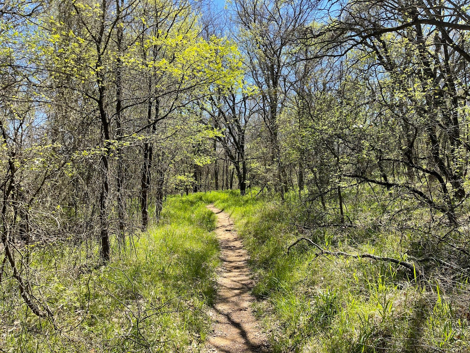 Rocky Point Trail