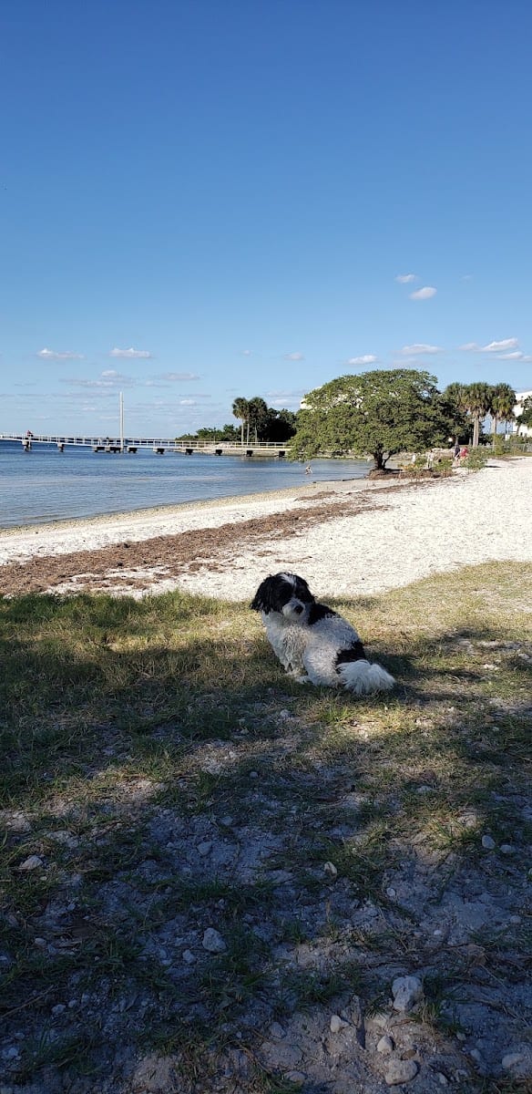 Dog Beach at Picnic Island Park