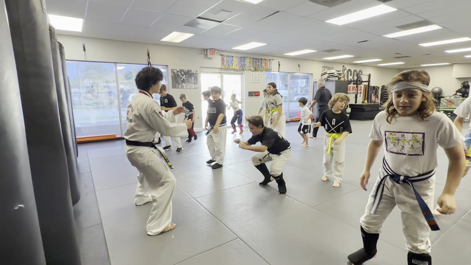 Martial Arts Advantage, photo 3