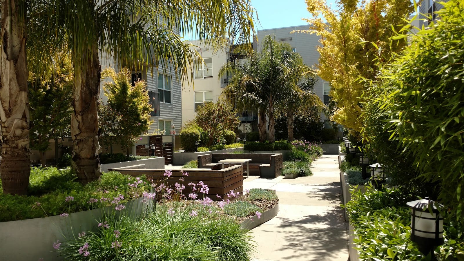 Mission Bay Landscaping Corporation, photo 2