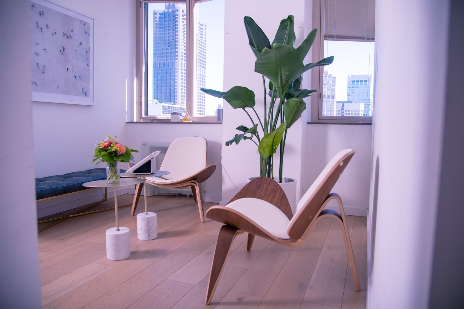 Skyline Dental Studio: Dr. Marjan Fathi, DDS