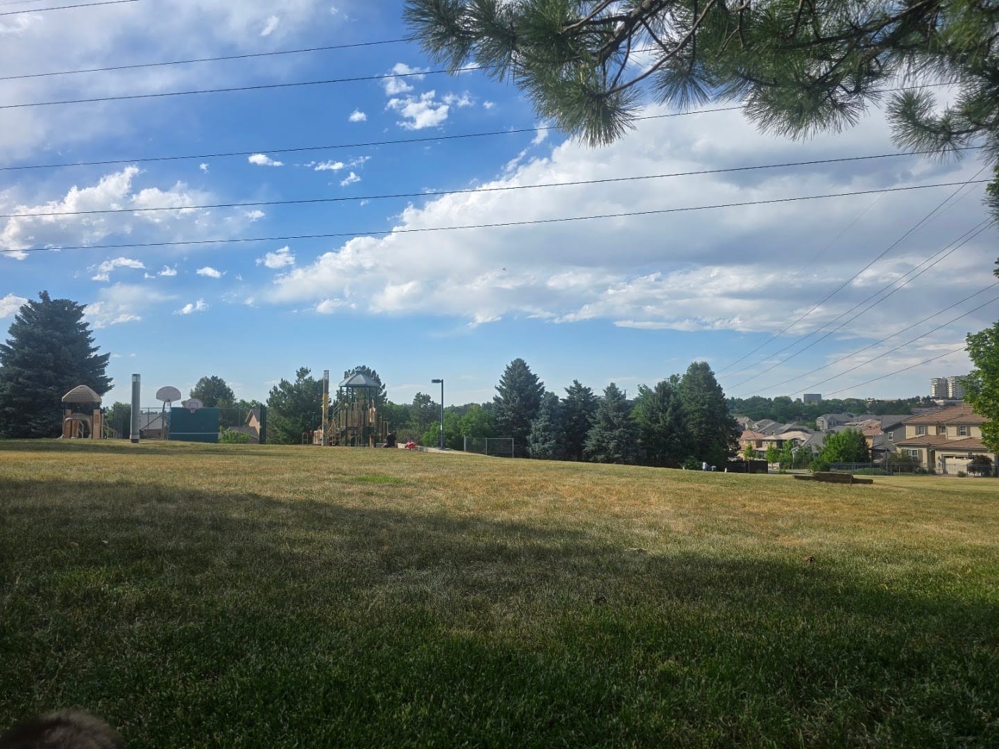 Playground, photo 4