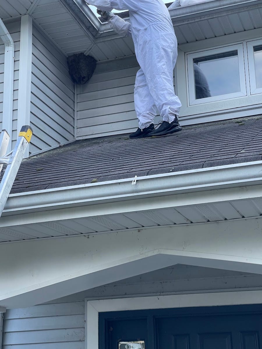 Reliable pest and animal control, photo 2