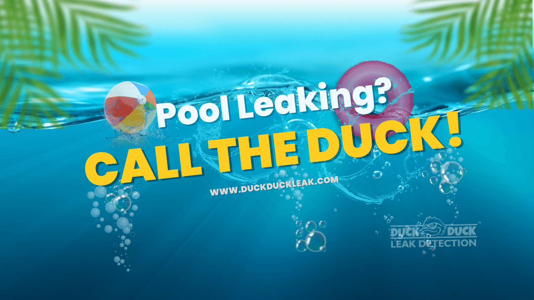 Duck Duck Leak Detection
