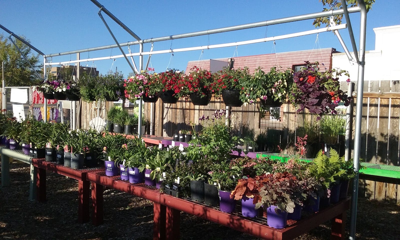 Wyoming Plant Company, photo 3