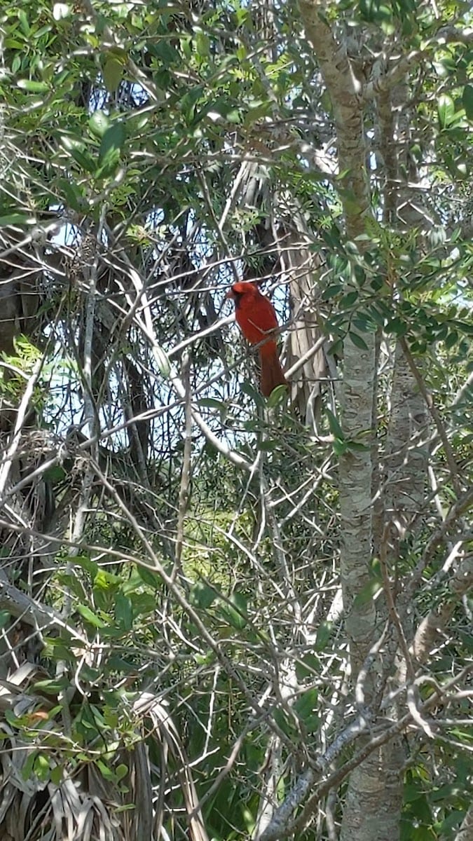Legacy Trail, photo 2