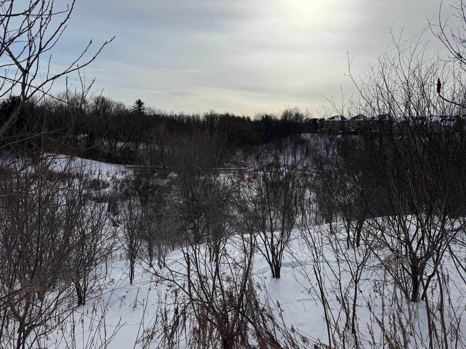 Saigon Trail Extension