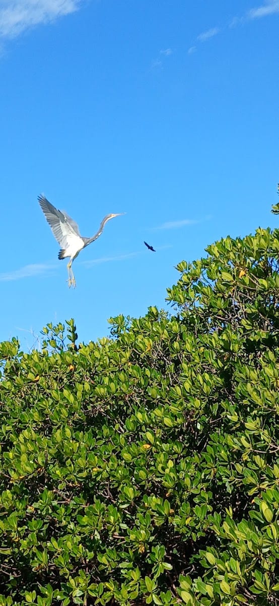 Allapatchee Shores Park, photo 4