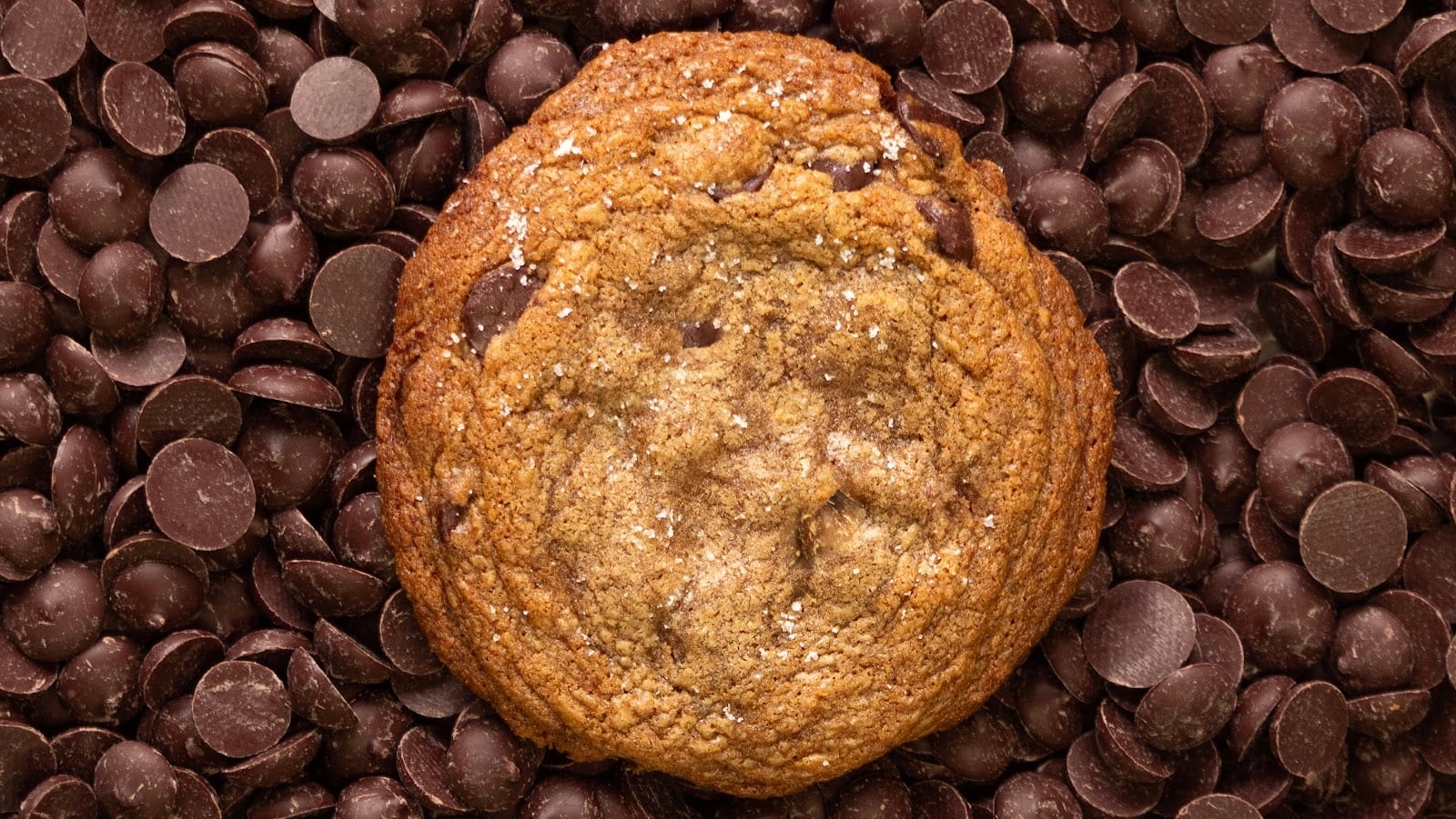 Soul Chocolate, photo 2