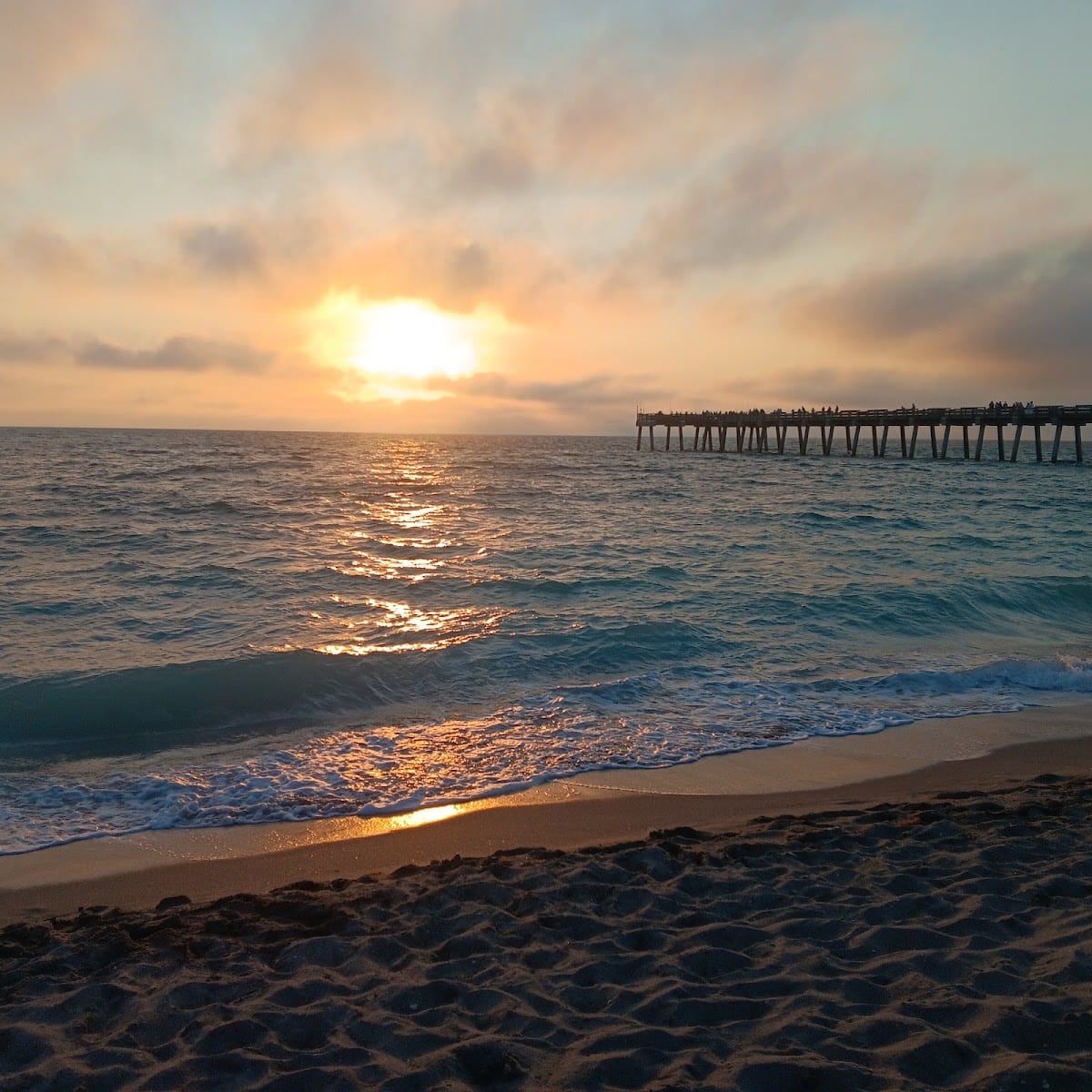 Palm Realty Property Management | Venice, photo 4