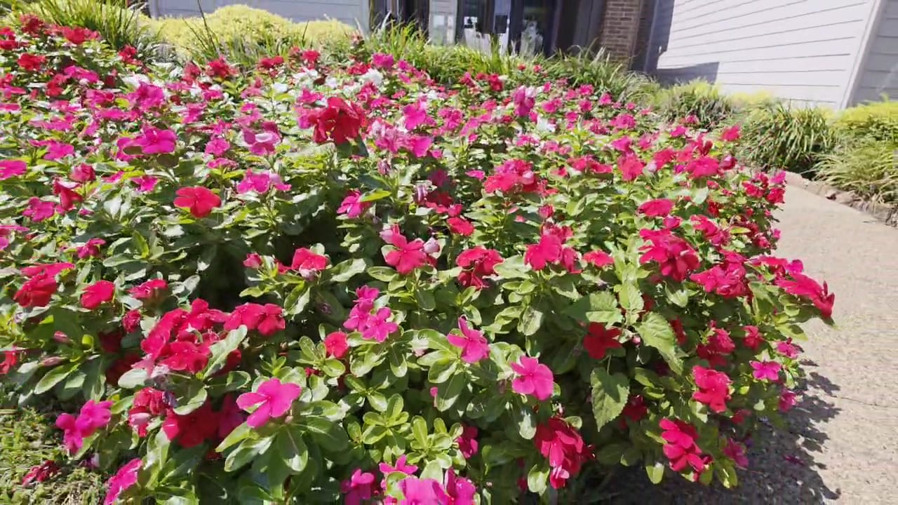 Green Empire Landscaping, photo 3
