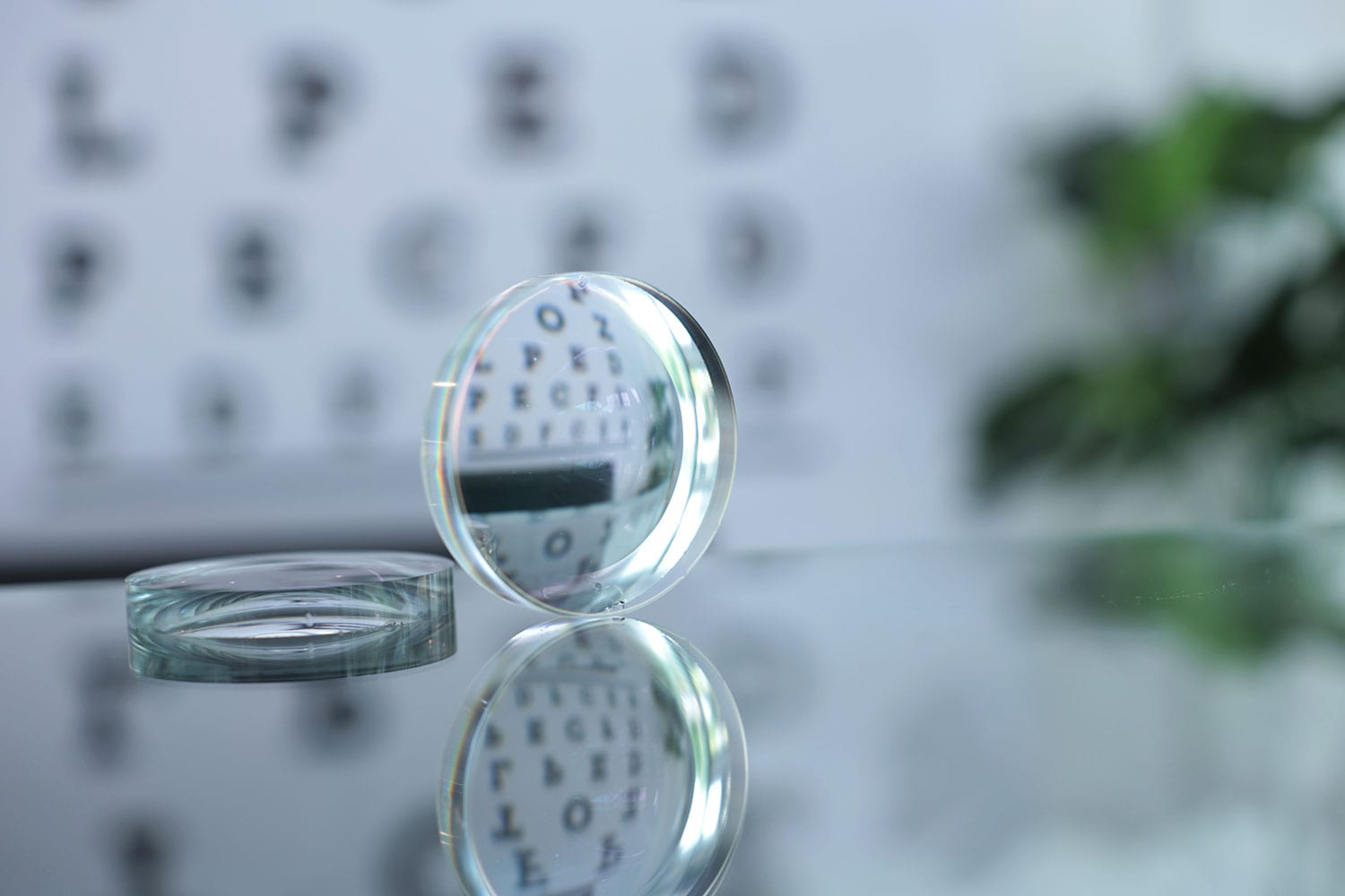 Rochester Optical Optometry, photo 3