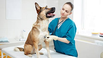 Veterinary Emergency Clinic