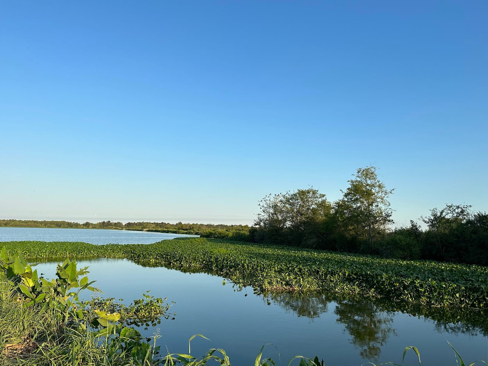 Cattail Marsh Scenic Wetlands & Boardwalk