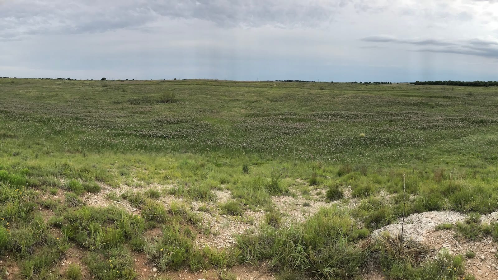 Lubbock Lake National Historic Landmark, photo 2