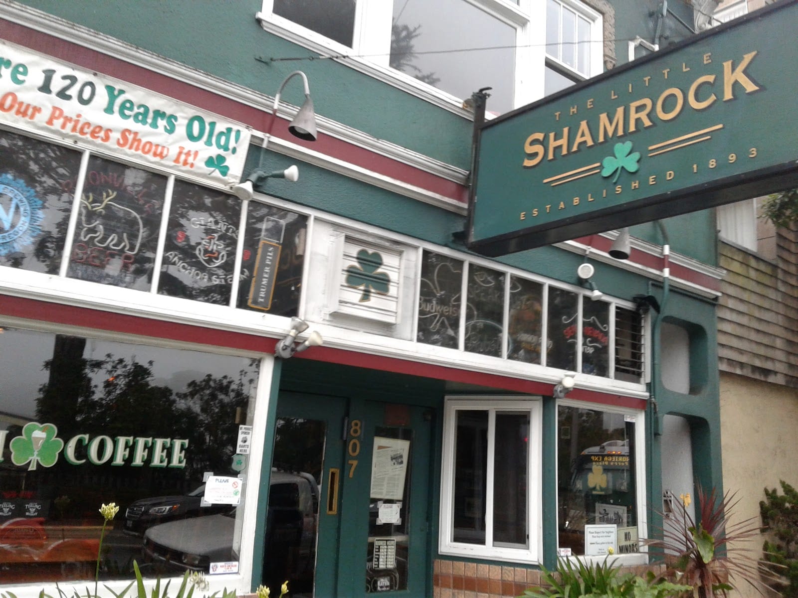 Little Shamrock