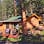 Pine Haven Cabins