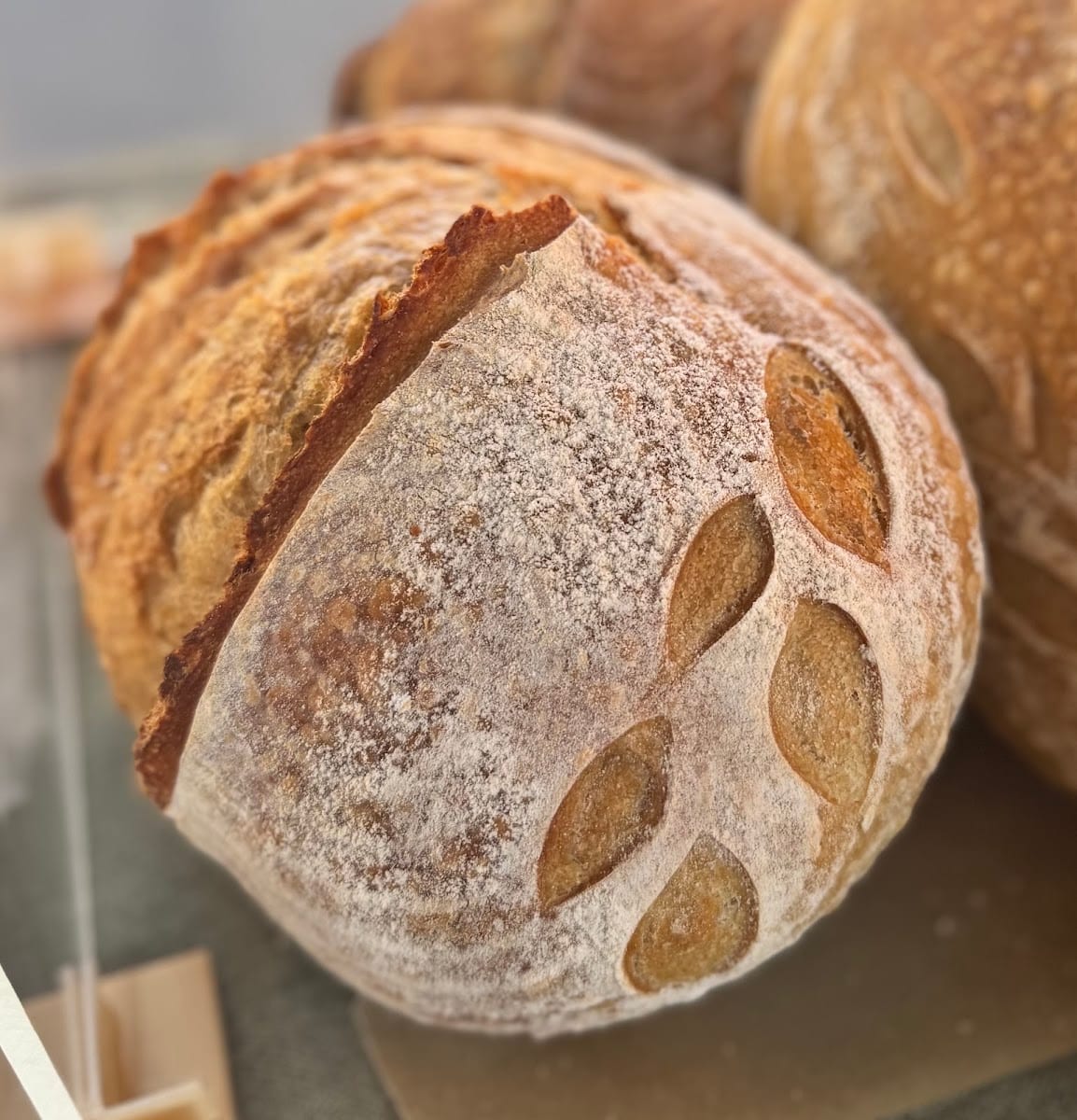 North Grain Bakehouse