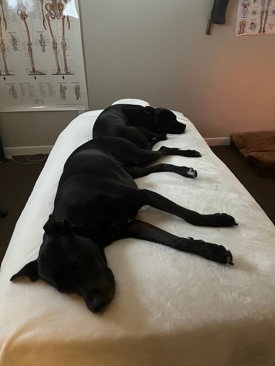 Med. Massage by Liana & Conscious Times Topicals, photo 4