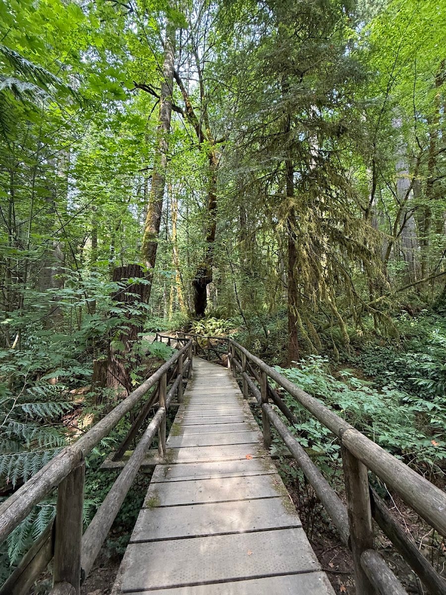 Squaxin Park, photo 3