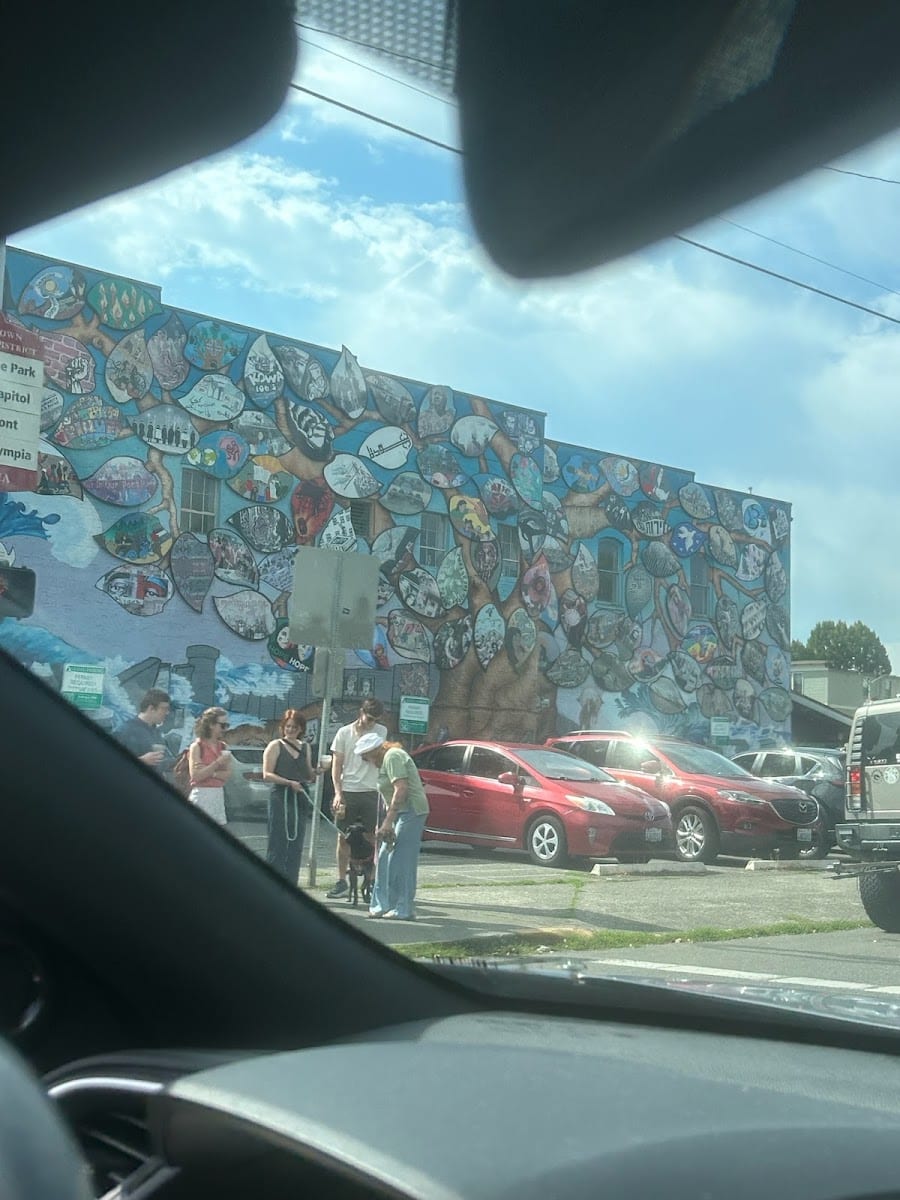 Olympia-Rafah Solidarity Mural Project, photo 3
