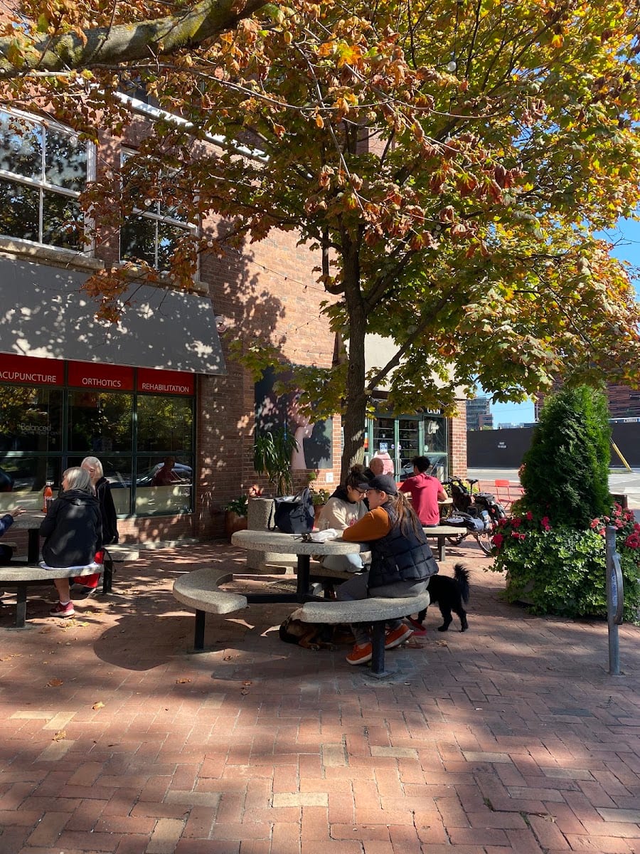 Berkeley Cafe, photo 2