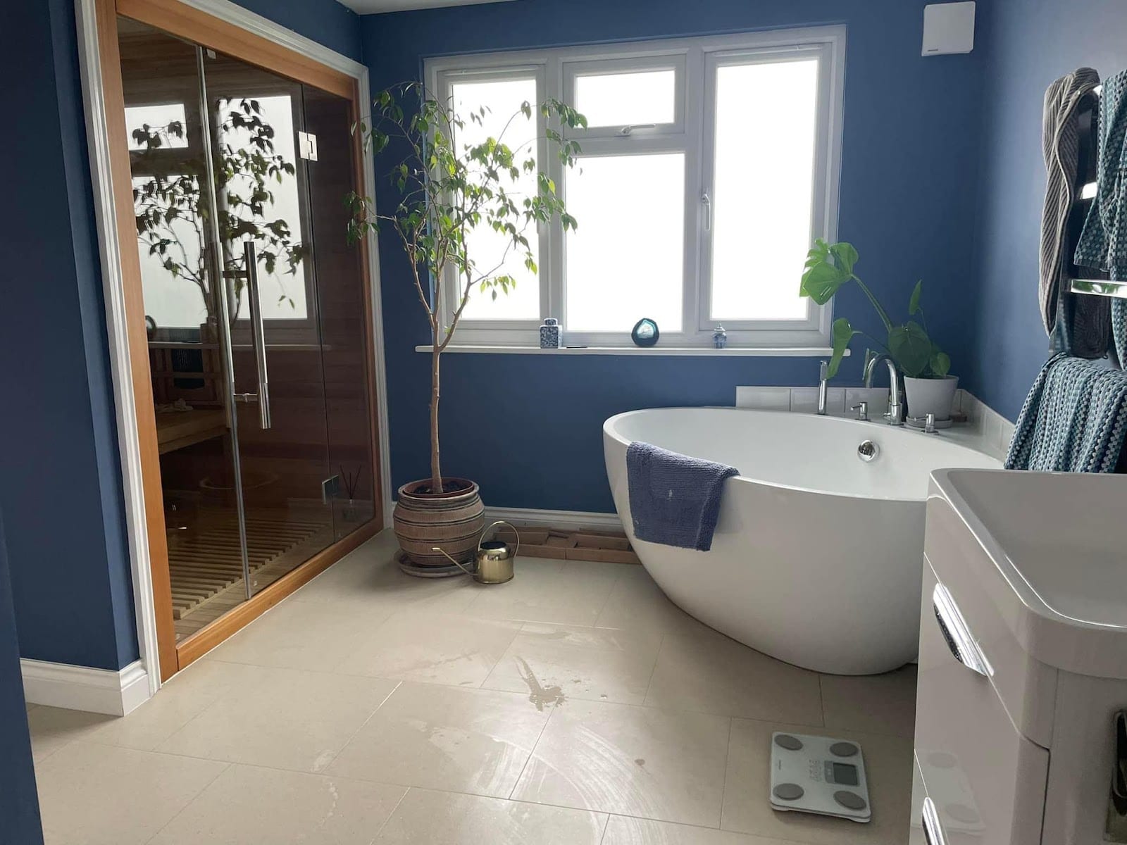Apex Cleaning Services