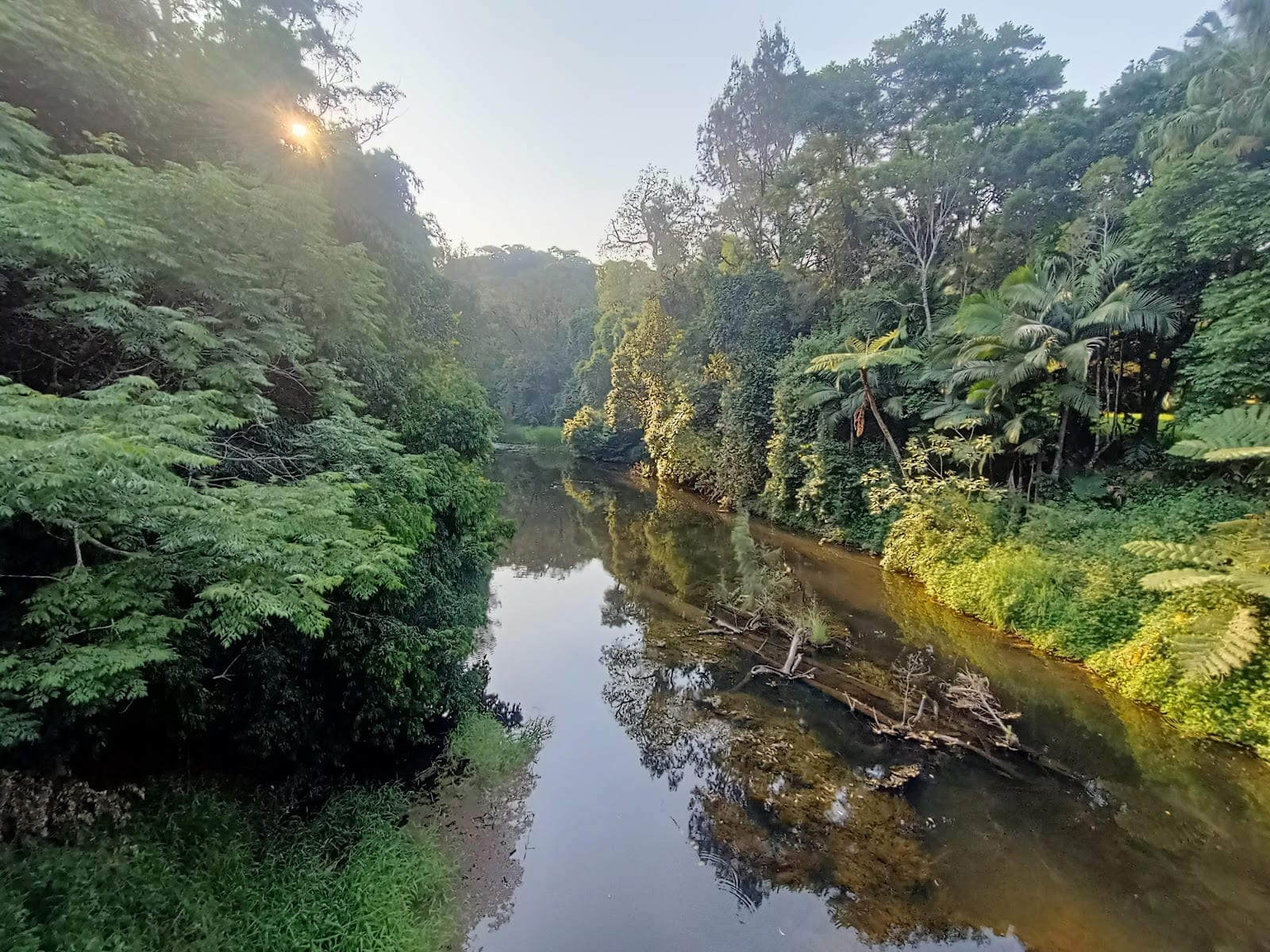 Eungella National Park-Broken River Section, photo 3