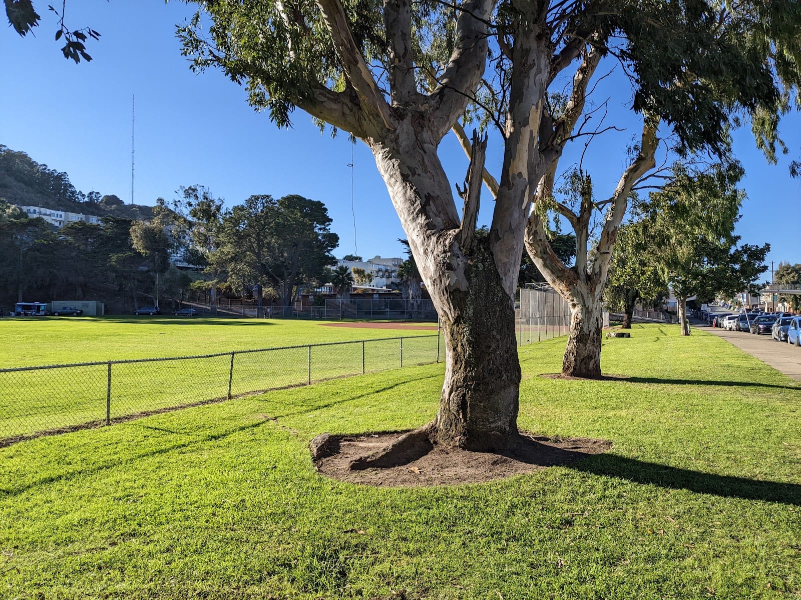 Gilman Playground Park, photo 3