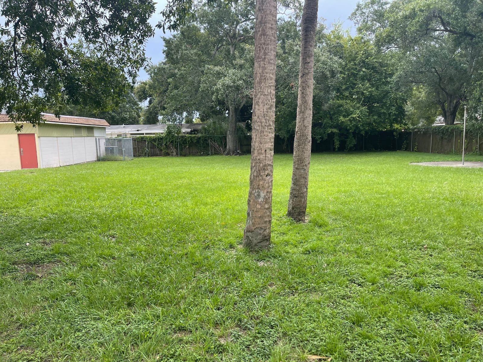 Charles B Williams Park, photo 3