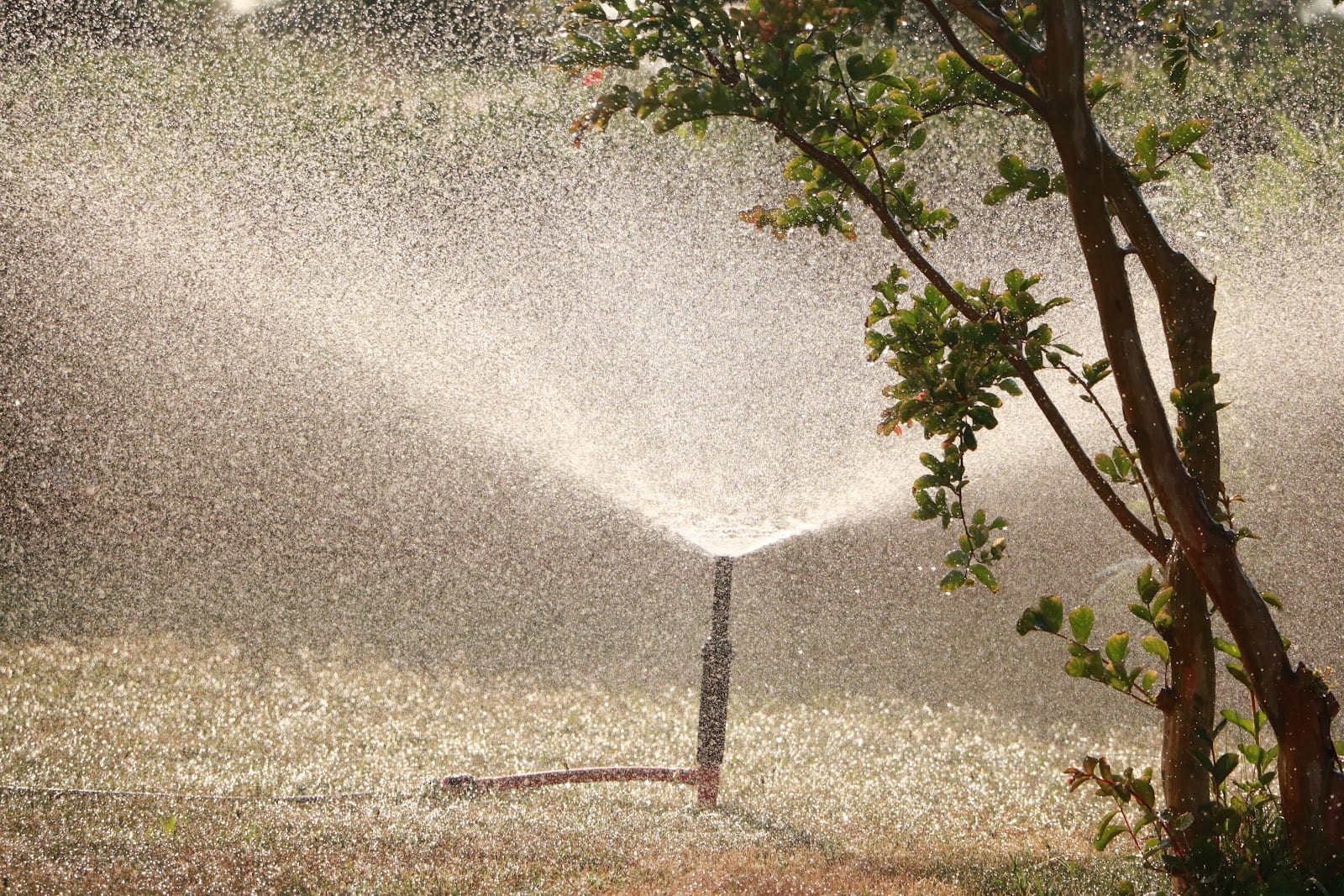 Aaric's Irrigation Repair, photo 2