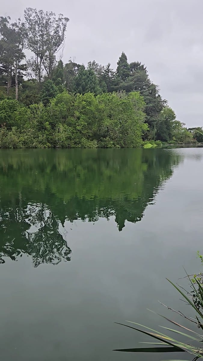 Blue Heron Lake, photo 2