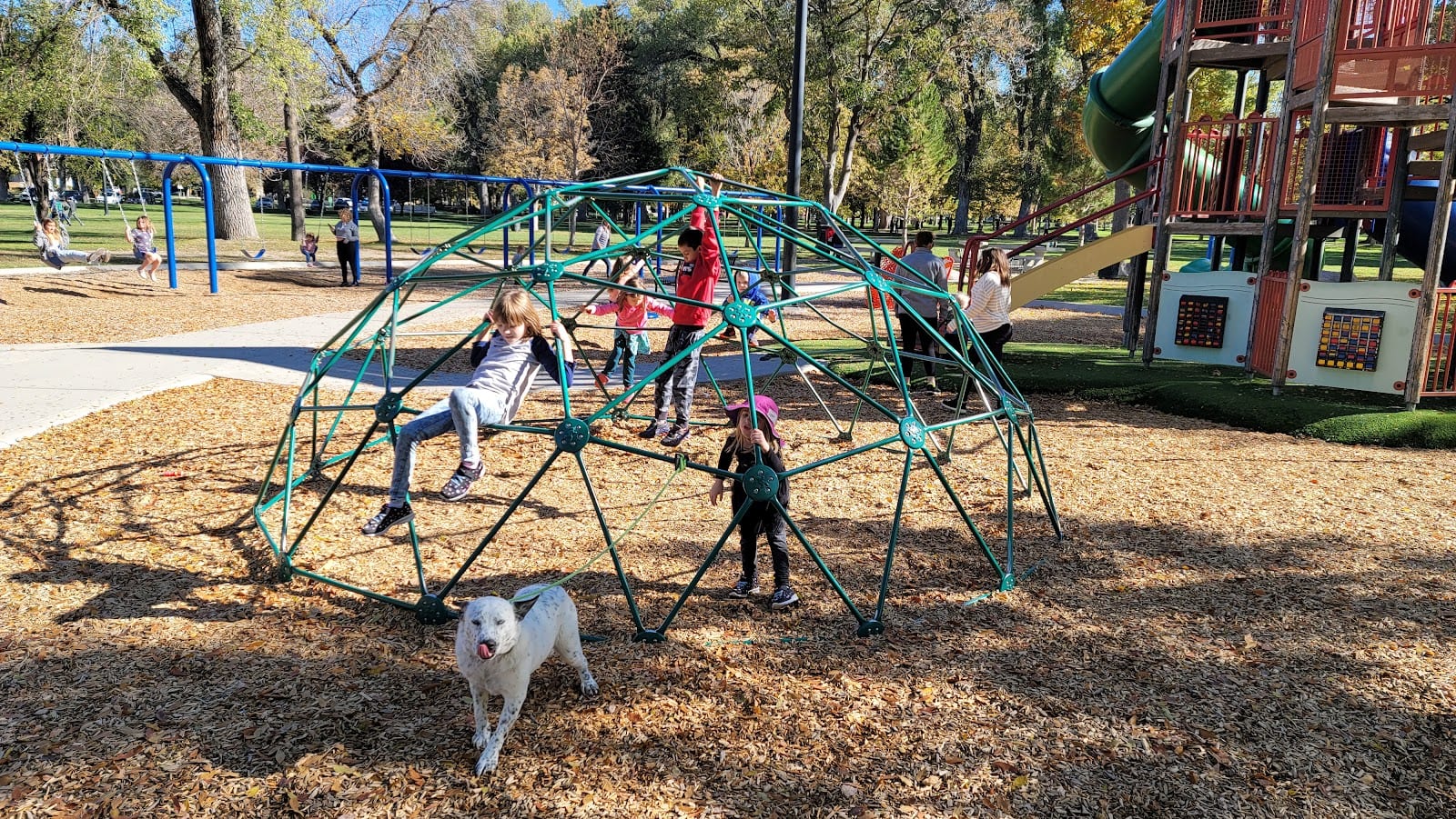 Rotary Play Park